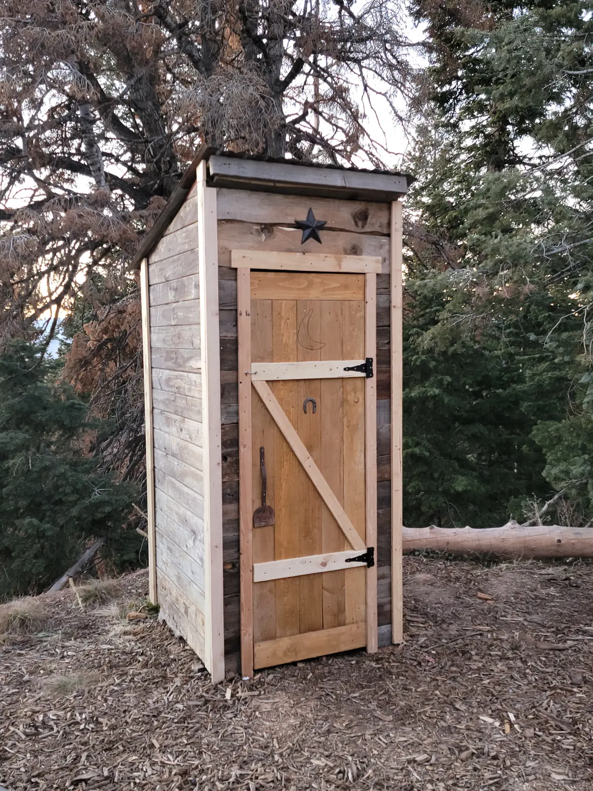 Finished outhouse exterior with western-style door and natural wood siding